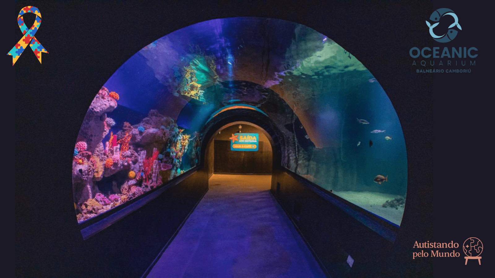 Oceanic Aquarium